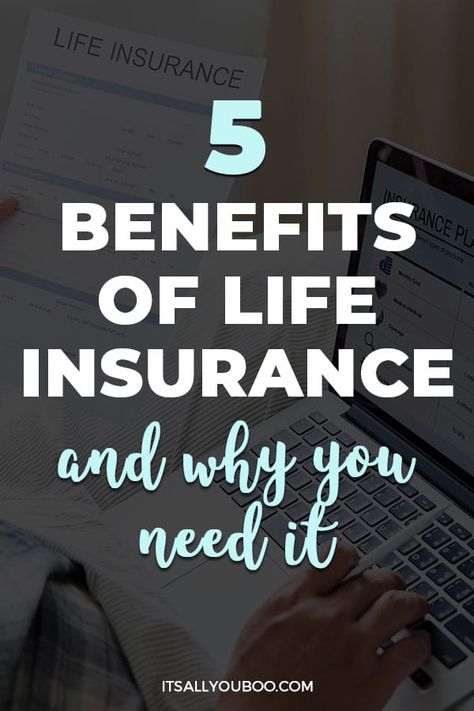 5 Benefits of Life Insurance And Why You Need It with someone on a computer holding an insurance policy Benefits Of Life Insurance, Life Insurance Marketing Ideas, Life Insurance Marketing, Life Insurance Facts, Life Insurance Agent, Whole Life Insurance, Insurance Marketing, Term Insurance, Life Insurance Quotes