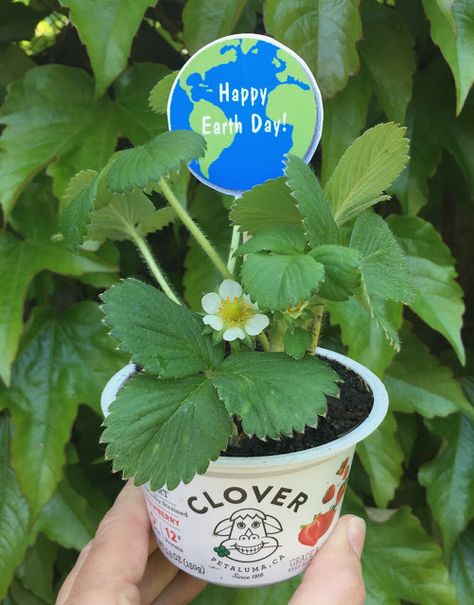 Earth Day Gift Ideas, Earth Day Gifts For Employees, Earth Day Event Ideas, Earth Day Gifts, Recycled Containers, Promotional Ideas, About Earth, Earth Month, Room Mom