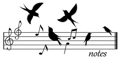 Moodboard Portfolio, Music Bird, Music Notes Art, Music Corner, Music Drawings, Music Pictures, Music Score, Wall Decal Sticker, Teaching Classroom