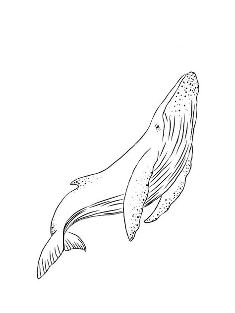 Beautiful Coloring Pages, Whale Drawing, Arte Doodle, Whale Tattoos, Ocean Tattoos, Whale Art, A Whale, Dream Tattoos, Art Tattoos