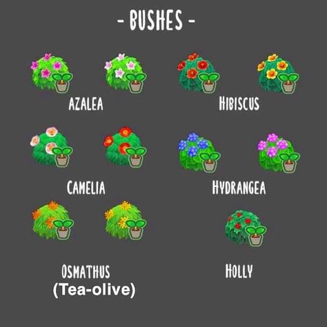 Animal Crossing on Instagram: “With the new update, these are all the types of bushes you can get. But keep in mind that not every bush blooms depending on the season.…” Animal Crossing 3ds, Animal Crossing Guide, Animal Crossing Wild World, Animal Crossing Villagers, Flower Guide, Animal Crossing Pocket Camp, New Animal Crossing, Animal Crossing Game, Animal Crossing Qr