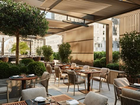 Aman New York, Rooftop Restaurant Design, Terrace Restaurant, New York Hotels, Italian Dining, H Design, Rooftop Restaurant, Midtown Manhattan, Hospitality Projects