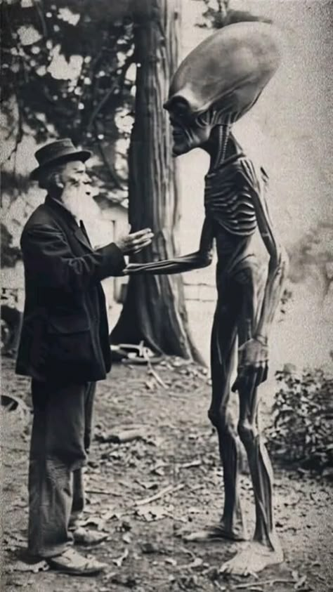 Weird Old Photos, Creepy Old Photos, Ufo Photography, Alien Videos, Scary Clips, Giant People, Alien Photos, Tipografi 3d, Art Scary