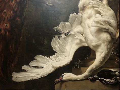 Fire And Blood, Arte Inspo, Swan Lake, Classical Art, Pretty Art, Classic Art, Aesthetic Art, Animal Art, Art Inspo