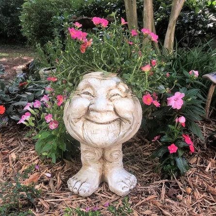 HomeStyles Muggly's The Face Granny Joy Resin Statue Planter | Wayfair Face Statue, Resin Vase, Cheap Flowers, Funny Expressions, Face Planters, Head Planters, Vase Flower, Animal Statues, Plants And Flowers