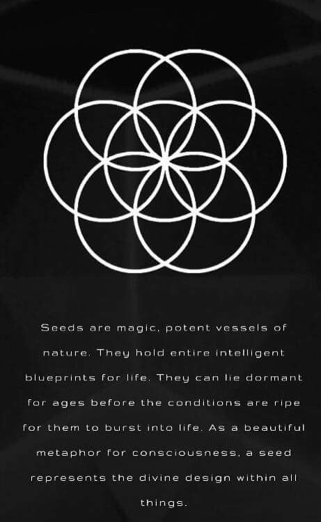 Seed Of Life Hand Tattoo, Seed Of Life Tattoo Design, Geometry Quotes, Flower Of Life Meaning Sacred Geometry, Sacred Geometry Meanings, The Seed Of Life, Sacred Geometry Flower Of Life, Tattoo Mandala, Space Clearing