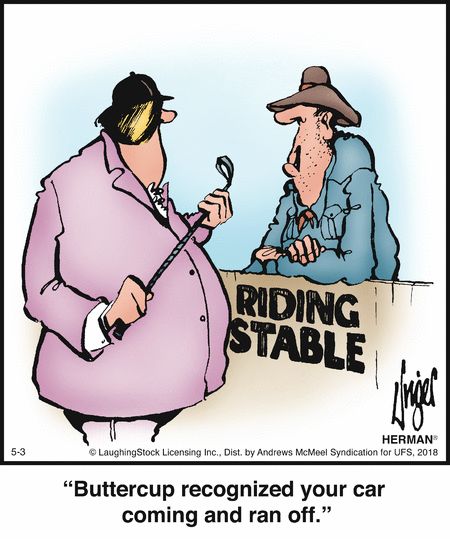 Herman - Herman by Jim Unger for May 3, 2018 | Read Comic Strips at GoComics.com Herman Cartoon, Senior Jokes, Herman Comic, Horse Sayings, American Humor, Leave Us A Review, Funny Postcards, Cartoon Strip, Humor Inappropriate