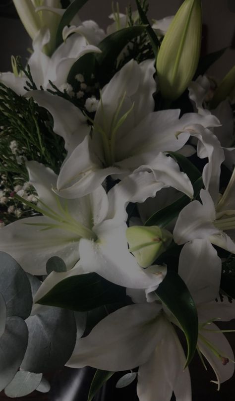 White Lilies Wallpaper, Lillies Flowers Aesthetic, Lily Flower Aesthetic Wallpaper, White Lily Bouquet, Butterfly Baby Shower Decorations, Lily Wallpaper, Halloween Wallpaper Iphone Backgrounds, Butterfly Wallpaper Iphone, Nothing But Flowers