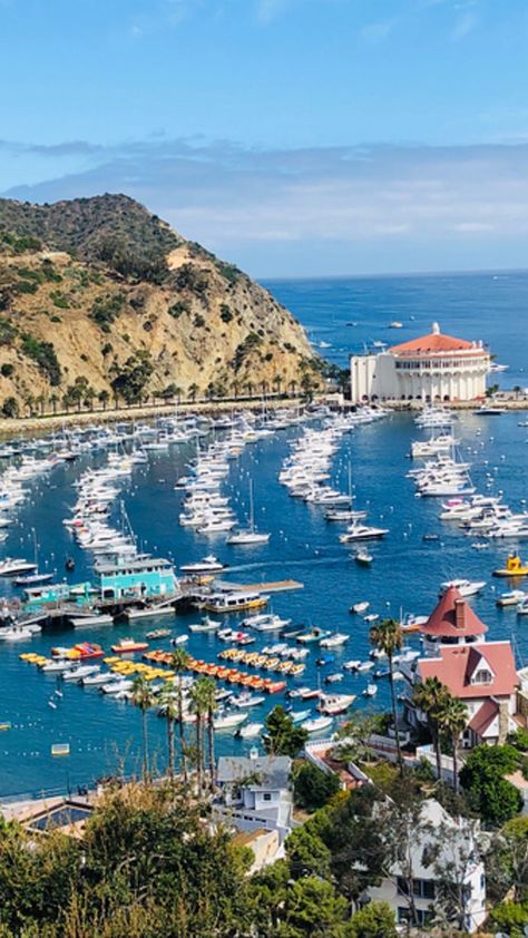 Catalina Island | Visit California Catalina Island Hotels, Catalina California, Welcome To California, Ahwahnee Hotel, Catalina Island California, Santa Catalina Island, Visit Los Angeles, Best Campgrounds, Places In California