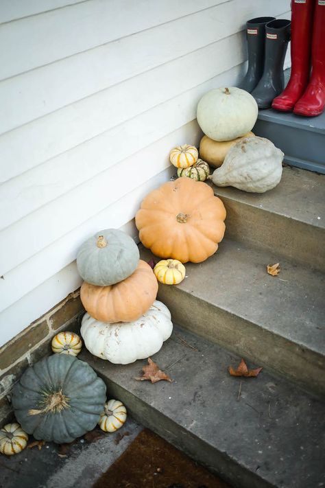 fall pumpkins, how to decorate your front porch with pumpkins, how to decorate your front porch for fall, thanksgiving decor, Front Porch For Fall, Door Stairs, Budget Decorating Ideas, Porch Pumpkins, Pumpkin Decorations, Budget Decorating, Fall Thanksgiving Decor, Pumpkin Everything, Fall Deco