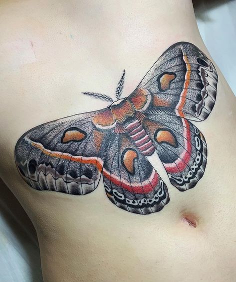 Classic Moth Tattoo, Realism Moth Tattoo, Color Moth Tattoo, Cecropia Moth Tattoo, Atlas Moth Tattoo, Cecropia Moth, Pink Moth, Atlas Moth, Moth Tattoo