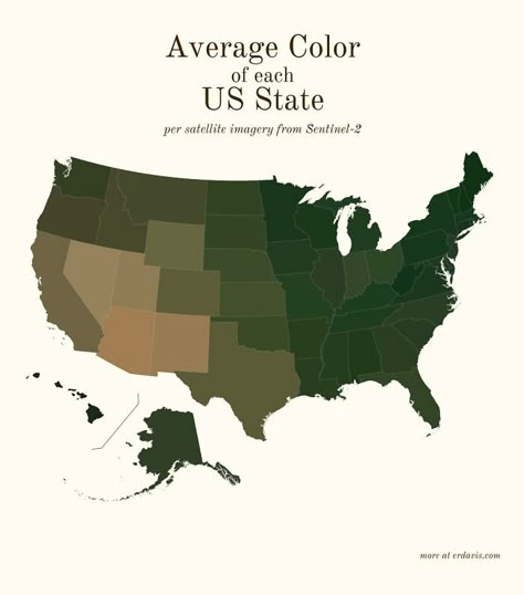 Shape Names, World Data, Satellite Image, Usa Map, U.s. States, People Online, Map Design, Us Map, World Of Color