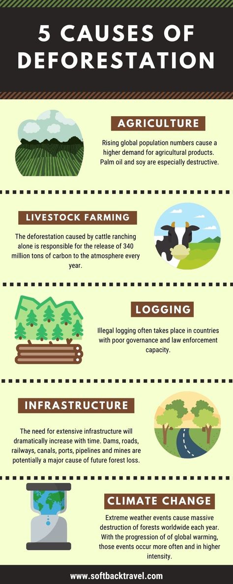 Deforestation Poster, Land Pollution, Environmental Posters, Scary People, Illusions Art, Livestock Farming, Global Population, Extreme Weather Events, Cattle Ranching