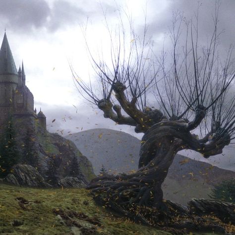 Creating the Whomping Willow tree required close collaboration between the arts, visual effects, and special effects departments. The… Whomping Willow, Rabastan Lestrange, Willow Tree Tattoos, Owl Wallpaper, Newt Scamander, Hogwarts Aesthetic, Slytherin Aesthetic, Prisoner Of Azkaban, Lord Voldemort