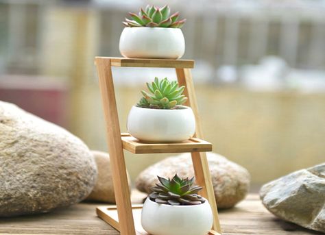 Starting your own garden doesn't have to be daunting. Start as small as you like with a windowsill garden. These space-saving planters are just right for a modest indoor garden—whether you're a green thumb or a chronic plant killer. Pot Shelf, White Pots, Stand Plant, Windowsill Garden, White Ceramic Planter, Ceramic Succulent Planter, Bamboo Plant, Window Sills, Smart Tiles