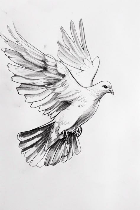 Christian Drawing dove Easy Christian Drawings, Christian Sketches, Biblical Art Drawings, Christian Drawings Inspiration, Biblical Sketches, Christian Drawing Ideas, Dove Tattoo Ideas, Faith Drawing, Dove Sketches