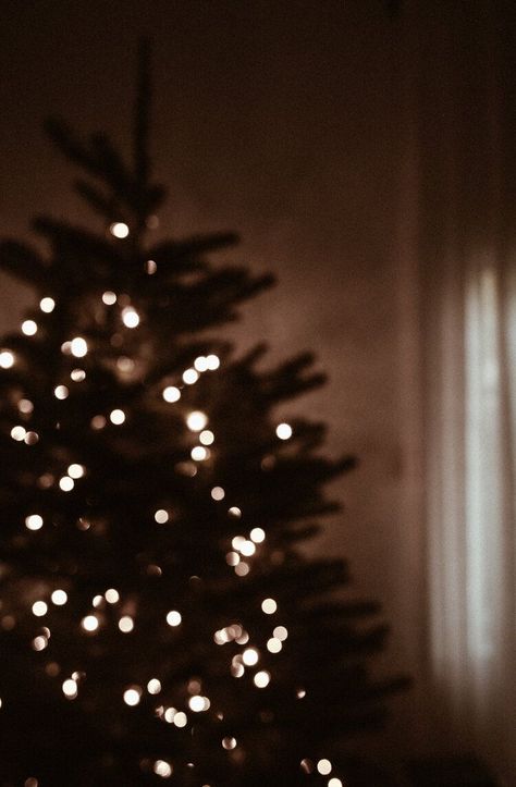 Christmas Ig Story Background, Christmas Tree Blurry, Merry Christmas Ig Story, Christmas Tree Instagram Story, Blurry Christmas Tree, Christmas Day Aesthetic, December Instagram Story, Paper Napkin Folding Ideas Easy, Christmas Lights Aesthetic