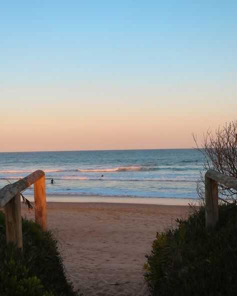 beaches of australia🇦🇺 📍bondi beach 📍palm beach 📍dee why beach #beaches #beach #beachesofaustralia #australia #winter #sea #ocean #sand #sunset #magic #overthesea #pinterest #aesthetic #seeaustralia @australia Australia Beach Aesthetic, Palm Beach Aesthetic, Palm Beach Australia, Bondi Australia, Bondi Beach Australia, Ocean Sand, Watch This Space, Bondi Beach, Beach Australia