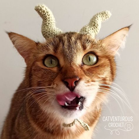 Crochet Maleficent Horns, Horn Crochet, Crochet Horns Free Pattern, Crochet Horns, Maleficent Horns, Crochet Curls, Cat Hat Pattern, Crochet Cat Hat, Crochet Twist