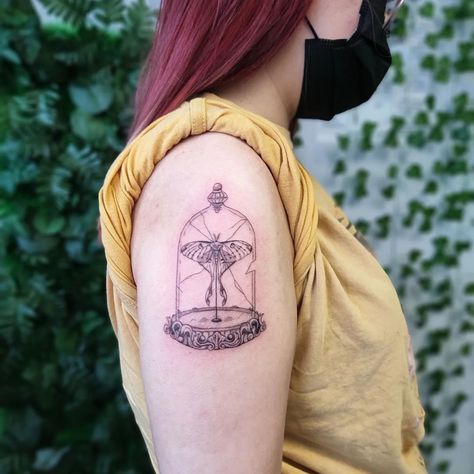 Cabinet Of Curiosities Tattoo, Taxidermy Tattoo Ideas, Cloche Tattoo, Entomology Tattoo, Taxidermy Tattoo, Taxidermy Moth, Oddities Tattoo, Oddity Tattoo, Entomology Taxidermy