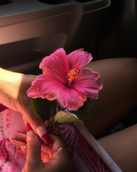 I call hibiscus the forbidden flower because as much as I want to use her in arrangements, she’ll never last. And I love her for that 🌺 Hibiscus Flower Bouquet, Pink Aura, Nothing But Flowers, Flower Therapy, Hibiscus Flowers, Just Girly Things, Summer Aesthetic, My Flower, Pretty Flowers