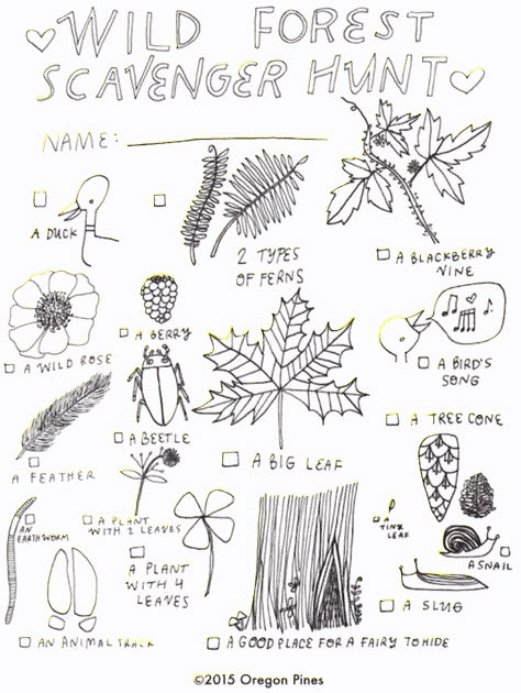 Forest Scavenger Hunt, Hunt Aesthetic, School Scavenger Hunt, Nature Club, Nature Lessons, Nature Scavenger Hunt, Nature Hunt, Forest Party, Play Ground