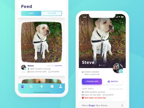 Pet Finder App Concept Pet Apps Design, Virtual Pet App, Pet Ecommerce, Dog Apps, Pet Shelter Logo, Pet Finder, Golden Labrador, App Concept, Lost And Found