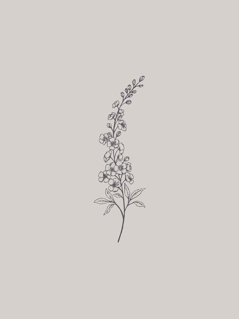 Larkspur Flower Sketch, Larkspur Sketch, Simple Lilac Tattoo, Small Lilac Tattoo, Lilac Drawing, Delphinium Tattoo, Larkspur Flower Tattoos, Gooseberry Moon, Larkspur Tattoo