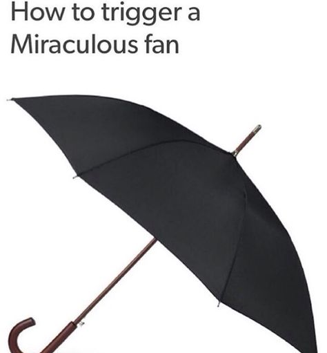 you show me a BLACK umbrella... I might burst into tears and then run away muttering, "The umbrella.... Marinette.... Adrien!" Yes. give a black umbrella to a Miraculer... and it'll trigger them Mens Umbrella, Ladybug And Cat Noir, Large Umbrella, Black Umbrella, Hetalia Fanart, Rain Protection, Canopy Design, Umbria, Black Tote