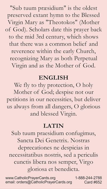 Latin Prayers, Rosary In Latin, Latin Prayers Catholic, Divine Mercy Chaplet Prayer, Catholic Saints Prayers, Prayers Catholic, Anima Christi Prayer Catholic, Spanish Prayers, Catholic Theology