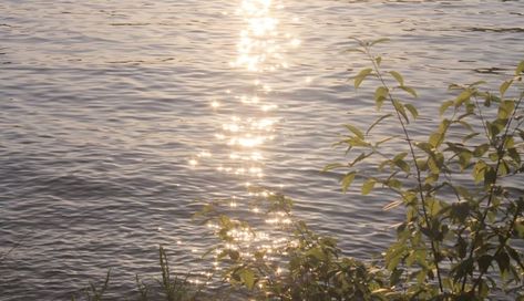 Aesthetic Horizontal, Horizontal Photography, Ferris Bueller, The Mundane, Film Aesthetic, Nature Aesthetic, Photography Inspo, Aesthetic Photography, Pretty Pictures