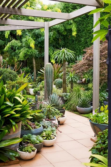 Backyard With Potted Plants, How To Arrange Plants In Garden, Arranging Potted Plants On Patio, Terrace Plants Ideas Outdoor, Pot Plants Outdoor Patio, Landscaping With Potted Plants, Landscape Pots, Pot Landscaping, Tulum Decor