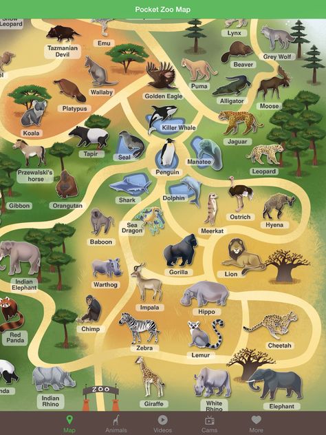 The Techie Teacher: Pocket Zoo App: Research for Primary Grades Zoo Games, Zoo Inspiration, Zoo Map, Techie Teacher, Pet Cam, Zoo Ideas, Zoo Architecture, Live Animals, Zoo Animal