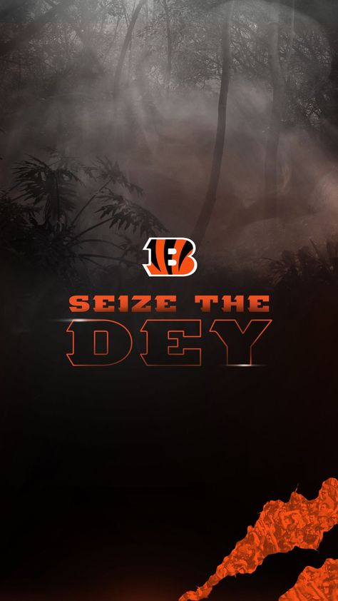 Bengals Wallpaper, Cincinnati Bengals Football, Bengals Football, Phone Quotes, Hd Wallpaper Android, Health Insurance Coverage, Social Determinants Of Health, Pink Phone Cases, Wallpaper Cave