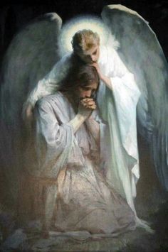 Agony In The Garden, Catholic Pictures, Pictures Of Christ, Jesus Praying, Jesus Christ Art, Pictures Of Jesus Christ, Jesus Christ Images, Biblical Art, Jesus Art