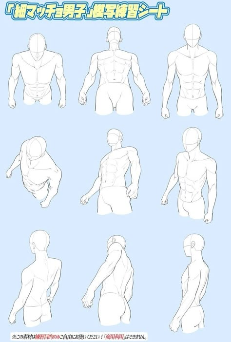 General Anatomy, Perspective Drawing Lessons, Body Drawing Tutorial, Human Anatomy Art, Anatomy Sketches, Body Reference Drawing, 캐릭터 드로잉, Body Anatomy, Anatomy Drawing