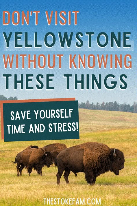 When you're planning a trip to Yellowstone, there are a lot of things to figure out. Where should you stay? Do you need to worry about wildlife? How long will it take to get around? Is there a nearby airport? We've answered these questions and more for you in this post. Yellowstone Excursions, Yellowstone Attire, Things To Do In Yellowstone Park, Yellowstone Trip Planning, Yellowstone Vacation Planning, Wyoming Trip, Trip To Yellowstone National Park, Things To Do In Yellowstone, Yellowstone National Park Vacation