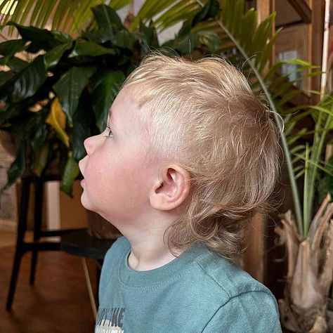 27 Coolest Long Haircuts for Boys of 2024 Infant Mullet Haircut, Boys Haircut 4 Year, Toddler Boy First Haircut Fine Hair, Boys First Haircut Ideas, Toddler First Haircut Boys, Toddler Surfer Haircut, Haircuts For 2 Year Boys, Boys Mullet Haircut Kids Straight Hair, Toddler Modern Mullet