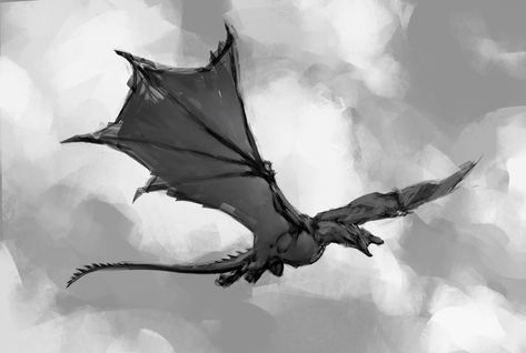 Fantasy Dragon Flying, Dragons Flying Together, Flying Dragon Illustration, Dragon Flying Reference, Wyvern Flying, Dragon Flying Drawing, Flying Dragon Drawing, Dragon Front View, Dragon Art Painting