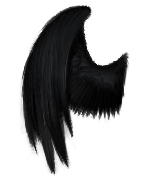 Black angel wings Fallen Angel Wings, Angel Wings Png, Angel Wings Drawing, Angel Wings Costume, Wings Png, Demon Wings, Black Angel Wings, Wings Drawing, Black Angel