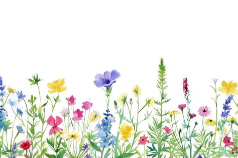 Wildflowers nature backgrounds outdoors. | premium image by rawpixel.com / Ratcharin Noiruksa Water Colour Illustration, Garden Themed Party, Garden Stickers, Hydrangeas Flowers, Grass And Flowers, Colour Illustration, Template Png, Aesthetic Coffee, Invite Template