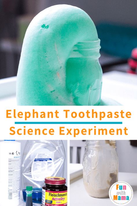 Elephant Toothpaste Recipe, Elephant Toothpaste Science Fair Project, Elephant Toothpaste Volcano, Diy Elephant Toothpaste, How To Make Elephant Toothpaste, Toothpaste Experiment For Kids, Elephant Toothpaste Experiment For Kids, Elephant Toothpaste Experiment, Elephant Toothpaste