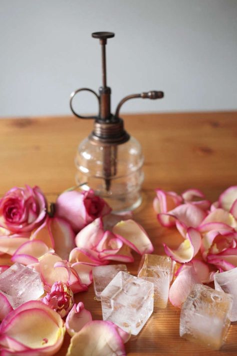 DIY: Rose Water Hydrosol - Gardenista Homemade Rose Water, Rose Water Diy, Rose Hydrosol, Diy Rose, Diy Roses, Flower Water, Diy Cosmetics, Homemade Beauty, Water Recipes