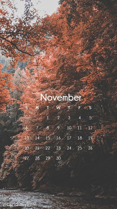 Nature scene beautiful red trees, pink tree photography fall sceneNovember calendar 2016 wallpaper you … | Fall wallpaper, November wallpaper, Iphone wallpaper fall Red Trees, November Wallpaper, November Calendar, Pink Tree, Tree Photography, Trees, Iphone, Photography, Red