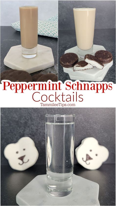 Peppermint Snaps Drinks, Drinks With Peppermint Schnapps, Peppermint Schnapps Recipes, Peppermint Schnapps Drinks, Schnapps Drinks, Midori Cocktails, Fireball Cocktails, Chambord Cocktails, Stemless Martini Glasses