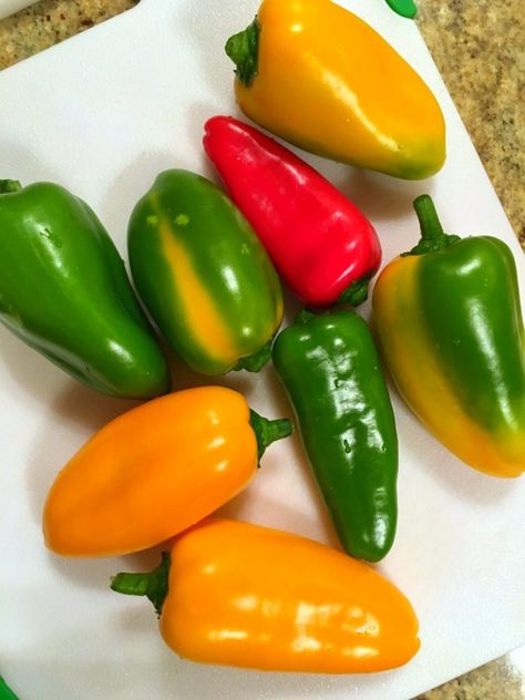 How To Freeze Peppers, Freezing Green Peppers, Stuffed Bell Pepers, Freeze Peppers, Freezing Peppers, Preserving Vegetables, Freezing Vegetables, Mini Sweet Peppers, Sweet Bell Peppers