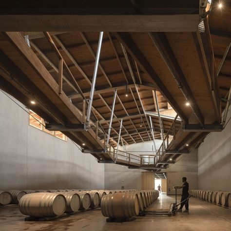 Herzog Meuron, Wine Factory, Winery Design, Wineries Architecture, Conceptual Model Architecture, Factory Interior, Winery Tasting Room, Lighting Plan, Big House