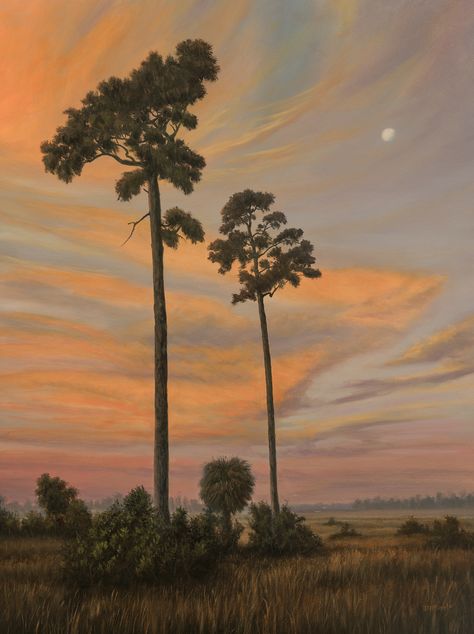 Florida Landscape Paintings, Florida Oil Painting, Florida Gothic, Florida Artwork, Florida Trees, Florida Nature, Florida Landscape, Tree Paintings, Space Camp