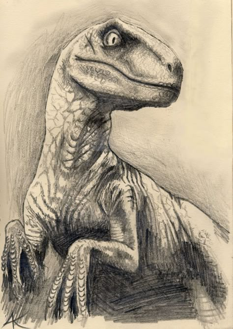 Velociraptor Drawing, Dinosaur Pencil, Friend Drawings, Dinosaur Sketch, Pencil Drawing Images, 2d Drawing, Dinosaur Images, Dinosaur Drawing, Dinosaur Pictures