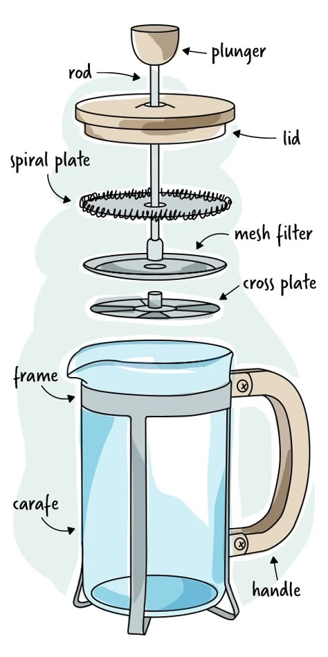 How to Make French Press Coffee | Drip Coffee vs. French Press French Press Drawing, French Press Illustration, French Press Coffee Recipe, Coffee Infographic, Coffee Drip, French Press Coffee Maker, French Coffee, Coffee Press, Coffee Images